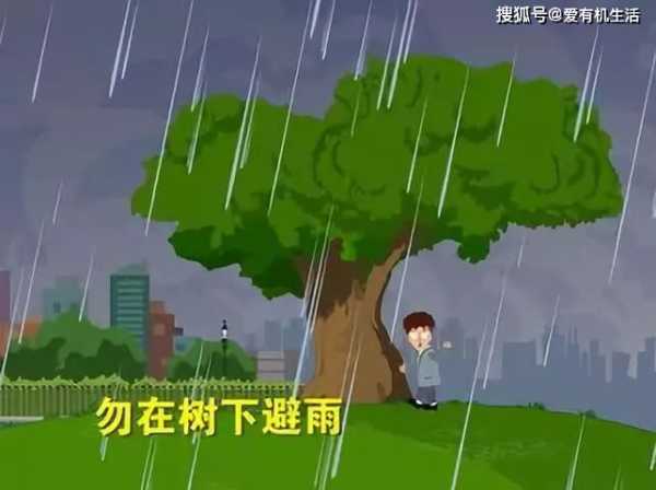 平原遇到雷电天气(你是选择躲避还是勇敢面对)