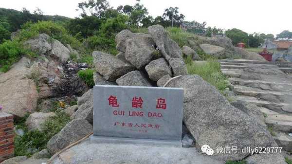 乌龟岛在哪里, 探寻这个神秘的旅游胜地