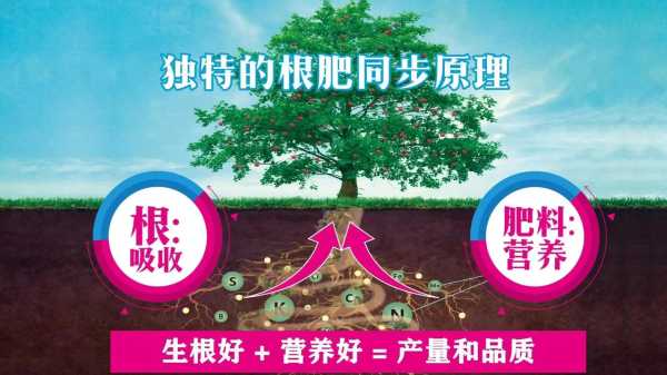 劲驼复合肥, 提升作物产量的秘密武器
