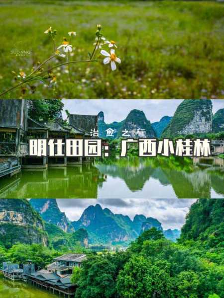 明仕田园旅游攻略, 如何畅玩这片人间仙境?