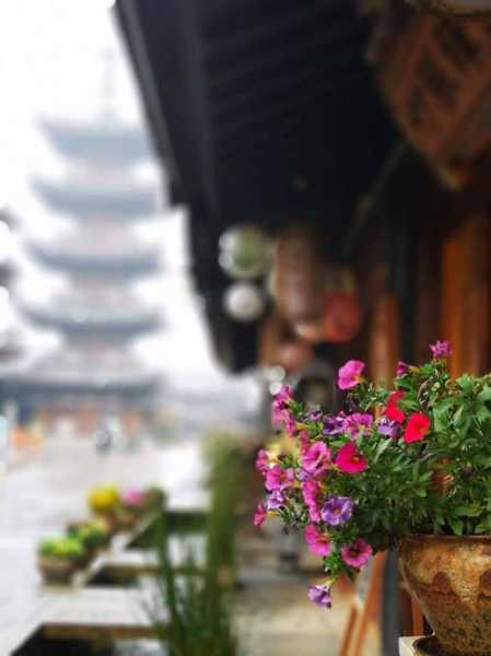 杜马禅园，探索宁静与灵性的完美结合