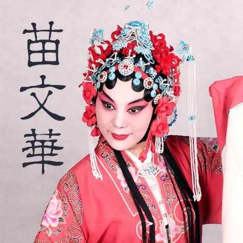 苗文华个人简历, 了解他的职业发展历程