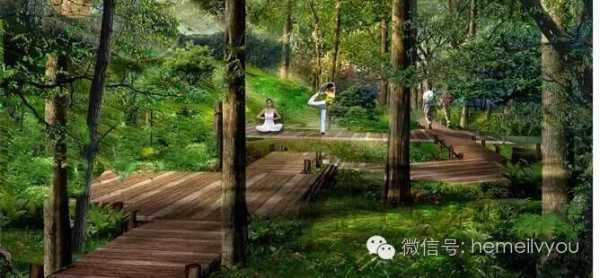 集池游,体验自然与放松的完美结合