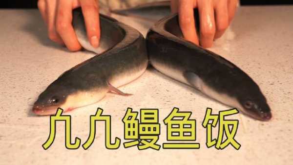 鳗鱼饭读音,如何正确发音?