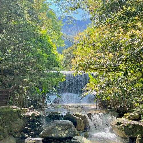 南平茫荡山旅游攻略, 如何畅游这座自然仙境?