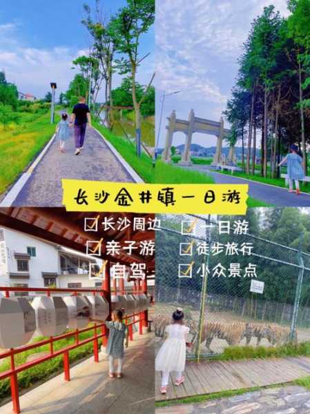长沙金井镇旅游攻略,畅游美丽乡镇的必备指南