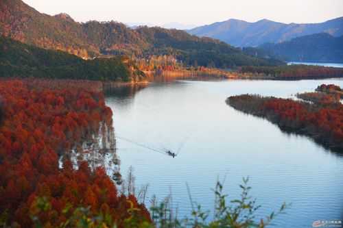 青龙湾是哪里?风景怎么样?