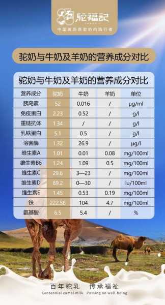 凤岗蚂蝗门票购买指南, 如何选择最适合的票种?