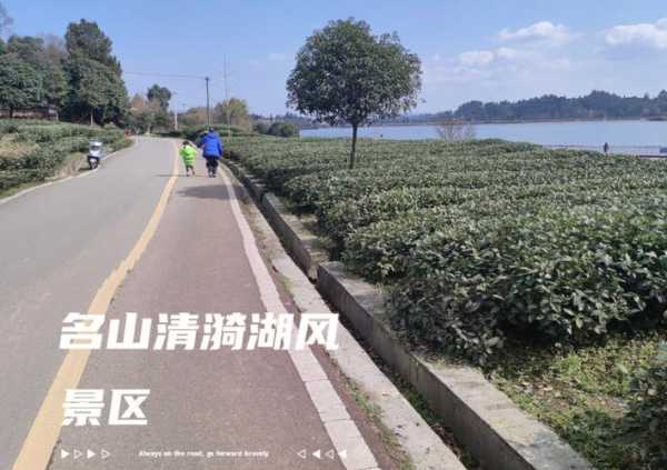 清漪湖门票,如何快速购买与注意事项?