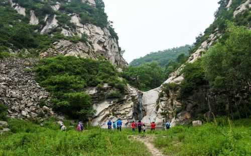 蔡家裕门票,如何快速获取和购买?