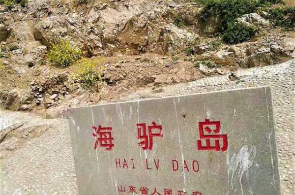海猫岛,探索人迹罕至的神秘之地