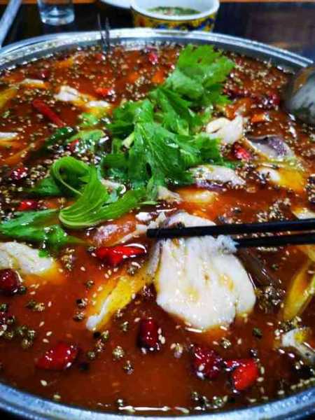 四珍鱼园, 体验独特的水产美食之旅