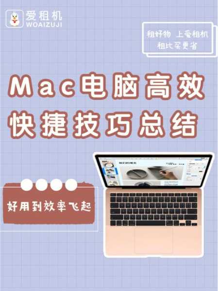 海天码头网上营业厅, 如何高效使用?