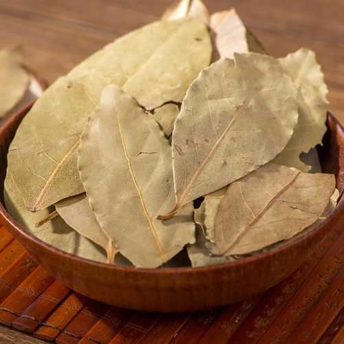 鱼香叶图片,欣赏美味的独特风味