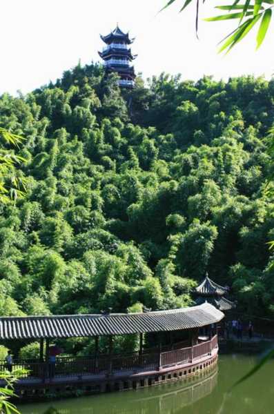 大竹旅游, 探寻隐藏的自然与文化之美