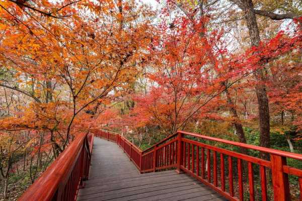 抚顺旅游团, 探索不一样的自然风光与历史景点