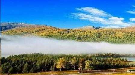 杨杨旅游, 探索最美的旅行目的地