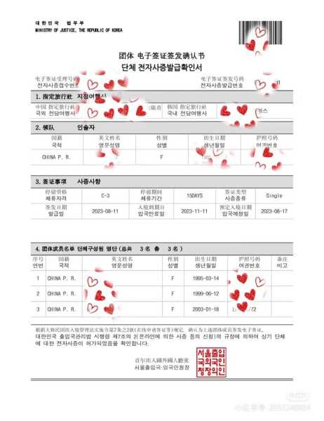 团队旅游签, 如何高效申请和使用?