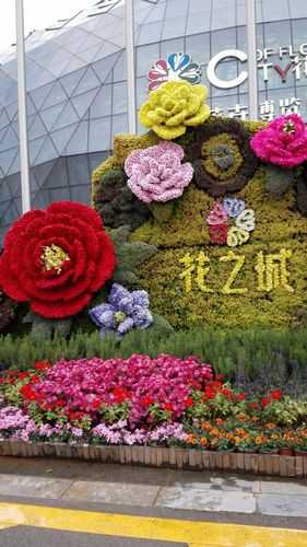 旅游昆明旅游,探索这座花城的魅力
