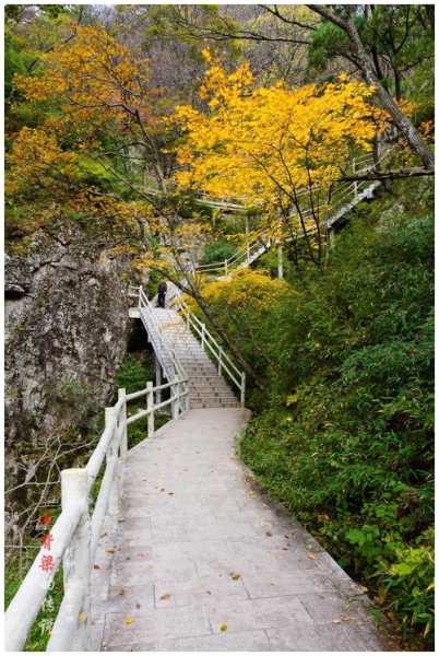 柞水旅游景点，探索最美自然风光