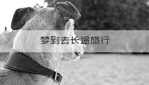 梦见出门旅游,象征着什么样的寓意?