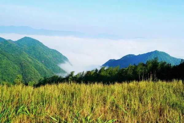 重阳旅游,适合家庭出游的好去处吗?