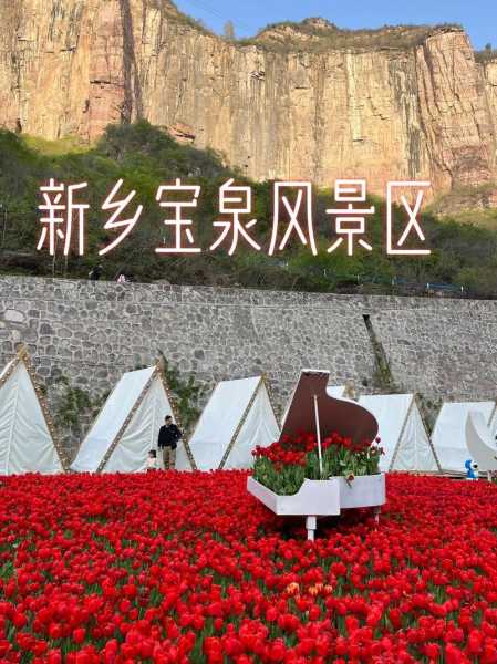宝泉旅游攻略,如何玩转这座迷人城市?