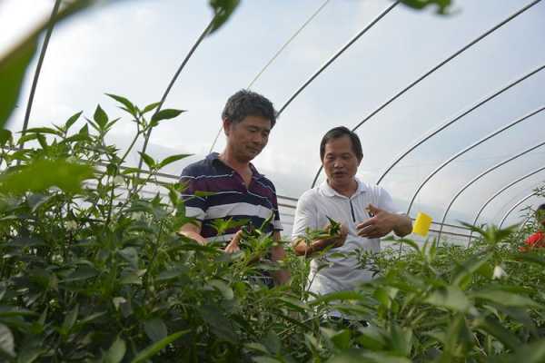 旅游产业扶贫, 如何助力脱贫攻坚?