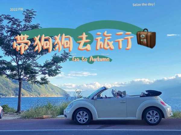狗旅游, 如何让你的爱犬快乐出行?