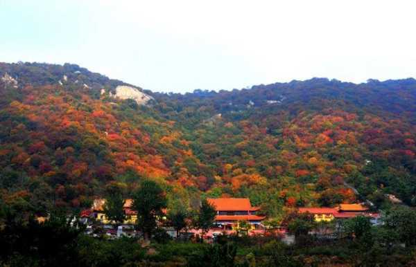 莱州旅游攻略, 探索这座城市的隐藏魅力