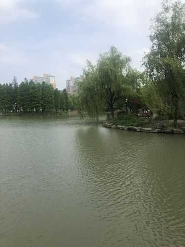 金桥旅游, 探索最佳去处与攻略