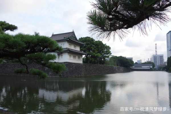 东京岛, 你知道它的独特魅力吗?