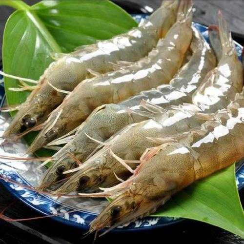 大明虾图片, 如何选择最美的虾图?