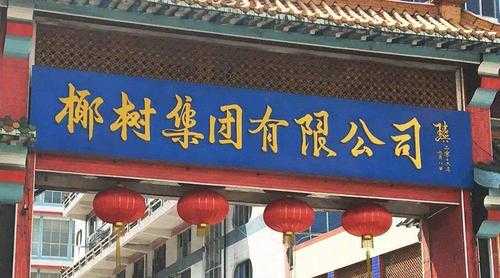 椰树集团是国企吗, 深入解析其背景与性质