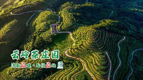 茶园山庄:探寻山乡茶文化的最佳去处