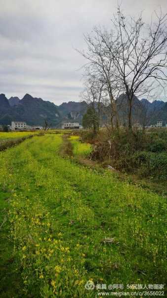 上岗村的美丽风景,你知道吗?