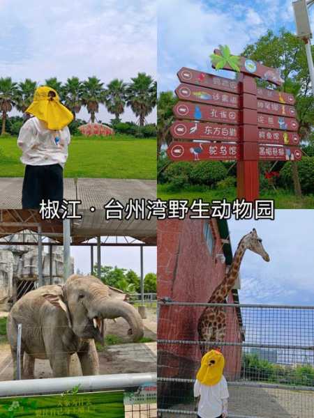 台州湾野生动物园，探索自然奇观的理想之地