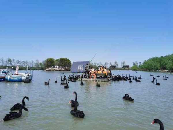 天鹅湖庄园, 如何体验这一人间仙境?