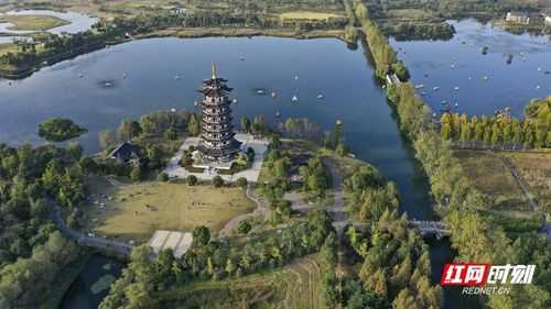 渌洋湖湿地公园,探秘自然之美与生态奇观