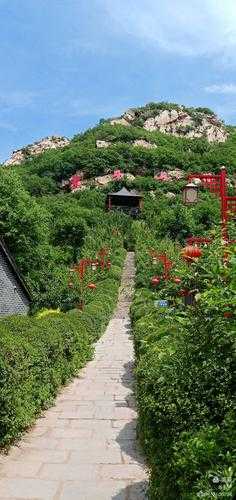象牙山温泉度假村, 享受宁静的疗愈之旅
