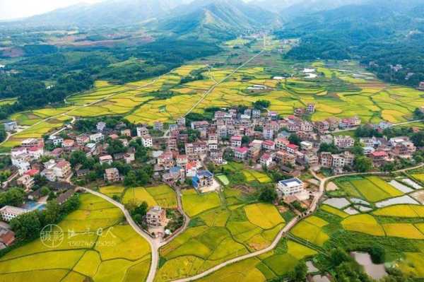 鹿马桥镇的魅力何在?探索文化与风景
