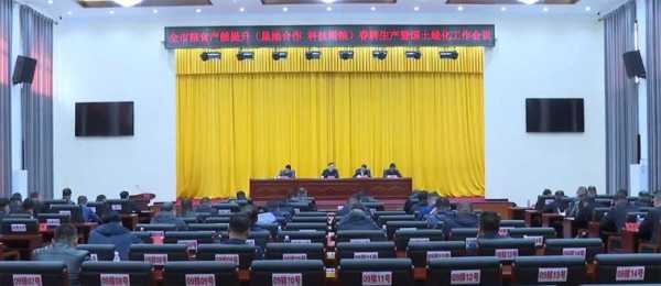 依安政府网, 提供最新政策和服务信息