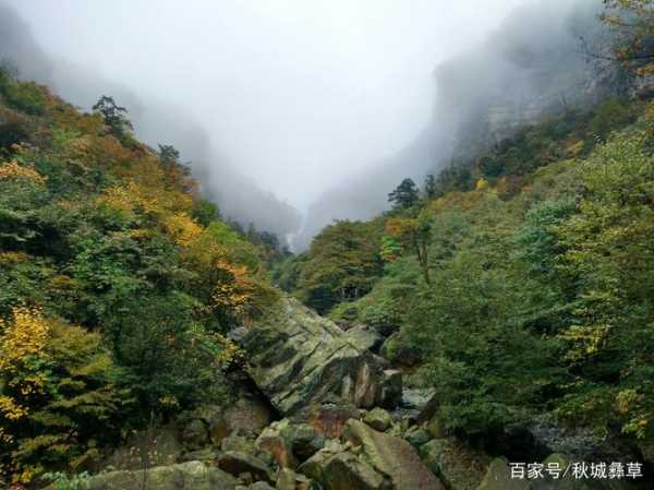 小草坝风景区, 探秘自然美景的最佳选择