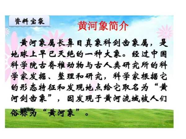 康王河探索之旅,你知道它的历史吗?