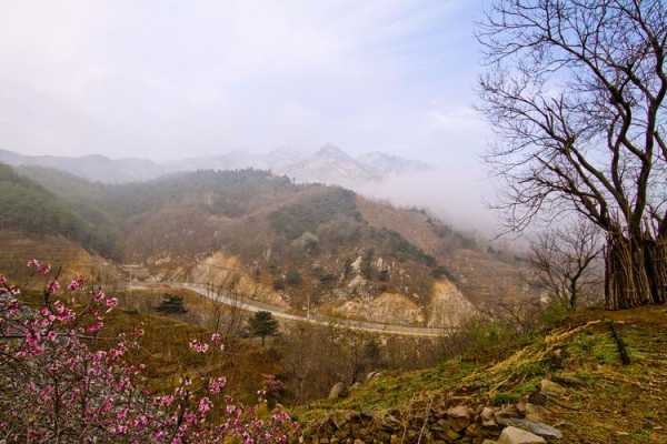 蒙阴百花峪景区, 探索自然与休闲的完美结合