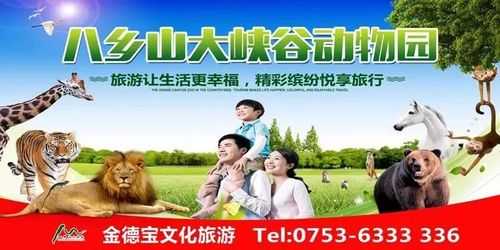 金德宝, 如何选择适合的产品?