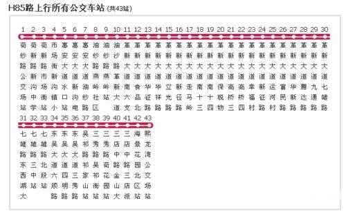 h85公交车路线, 如何查询详细情况?