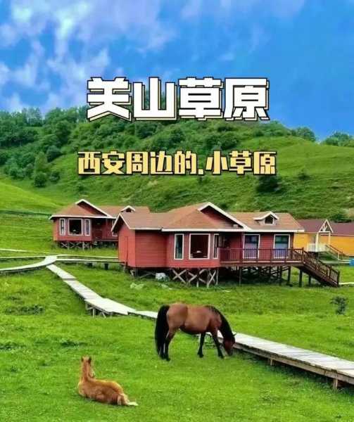 关山牧场在哪, 探索这片美丽的牧场之地