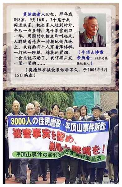 平顶山惨案简介，案件经过与影响分析