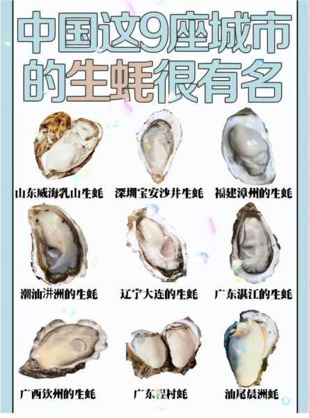 晨洲生蚝，畅享鲜美海味的秘诀是什么？
